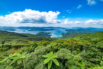 高知山展望台からみた景色
