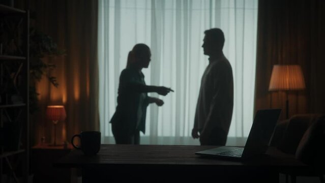 A man and a woman are arguing in the living room near the window. A silhouette of a couple arguing over the fact that the man spends too much time on the laptop. Slow motion.