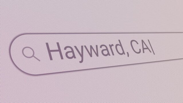 Search Bar Hayward CA 
Close Up Single Line Typing Text Box Layout Web Database Browser Engine Concept