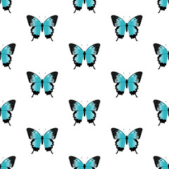Seamless pattern of butterflies. The butterfly papilio ulysses. Buttrerfly and insept on white background. Blue butterfly.