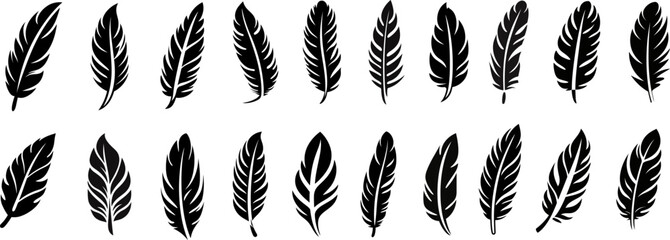 Feather icons. Set of black feather silhouettes icons isolated on transparent background.