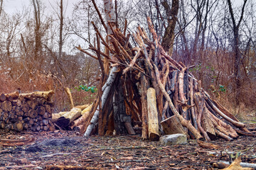 Hut of Branches Makeshift Shelter and Logs in Spring Forest