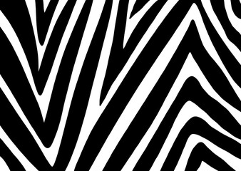 zebra skin pattern.