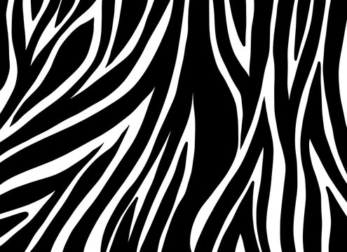 zebra skin pattern