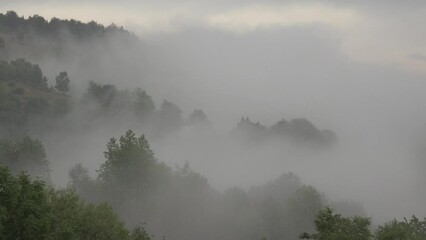 Raining in Mountains, Clouds Mystical Fog, Cloudy Rainy Day, Foggy Forest, Stormy Mist Smoke in Alpine Wood, Overcast Timelapse