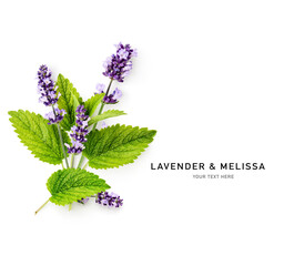 Lavender and melissa lemon balm creative layout isolated on white . - obrazy, fototapety, plakaty