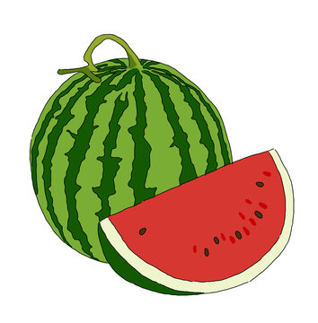 A hand-drawn illustration of 'Watermelon', a representative fruit of summer.