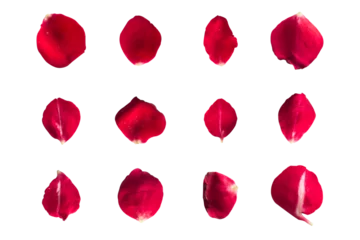 Zelfklevend Fotobehang Set of 12 red rose petals on a white background or transparent © Creative Canvass