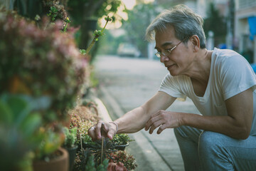 asian old man take care houseplant at home garden