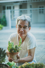 happiness face of asian senior man with succulent houseplant in hand