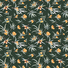 Pattern with orange sea buckthorn. Sea buckthorn for healthy life and design background. Hand painted. Botanical natural. Seamless pattern, an illustration for postcards, posters, textile design.
