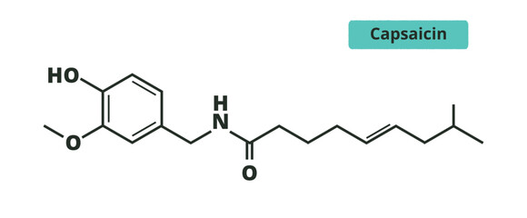 Capsaicin chemical formula. Chili peppers component. Skeletal formula.