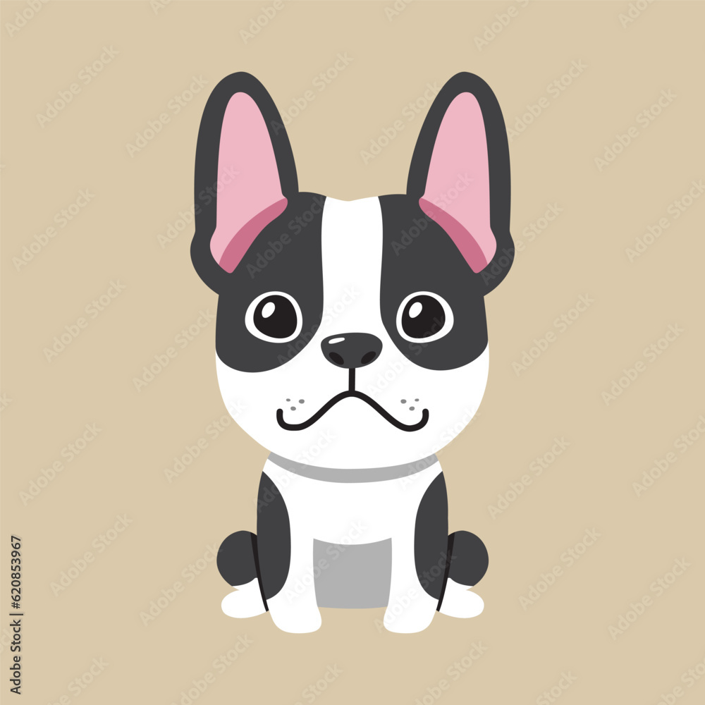 Wall mural vector cartoon boston terrier dog for design.