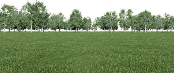 Realistic meadow and forest tree line. 3d rendering of isolated objects.
