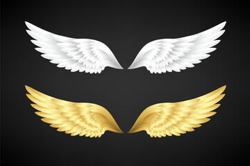 White and gold angel wings
