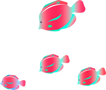 Colorful tropical fish.