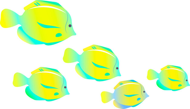 Colorful tropical fish.