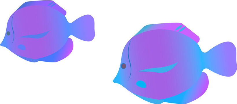 Colorful tropical fish.