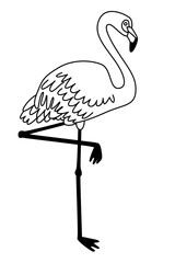 Flamingo bird isolated on white background. Simple vector outline illustration. Exotic animal symbol. 