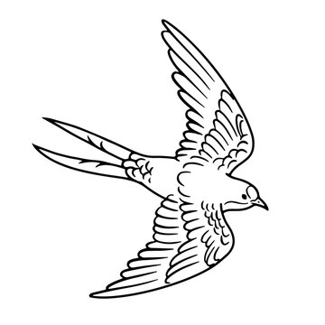 recommend clip art: 手描きの飛行するツバメの線画イラスト_モノクロ
                    