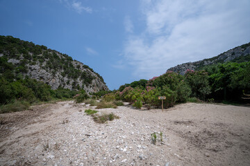 Zielone Nabrze Wyspy Sardynia Widokiem