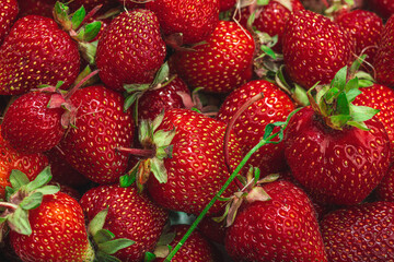 Strawberry background. Ripe fresh fruits, seasonal crop. Healthy superfood, vitamin