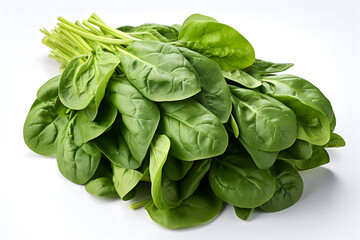 Fototapeta premium fresh spinach leaves on white background