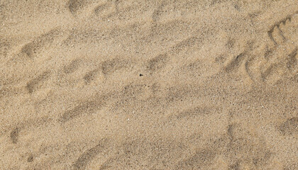 Fototapeta na wymiar Texture of sandy beach as background, top view