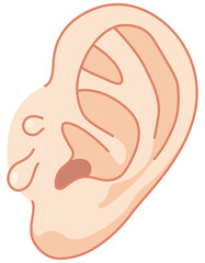 副耳　耳の変形　耳の形成　医療