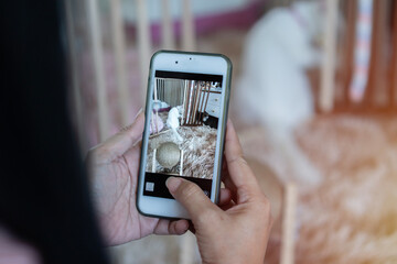 Women taking photo to cat with cell telephone or smartphone digital camera for post to show online on the internet.