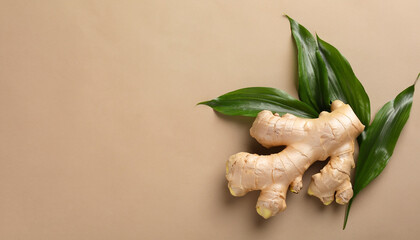 Fresh ginger with green leaves on light pale brown background, flat lay. Space for text