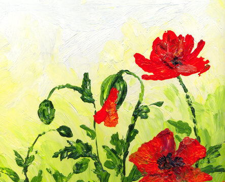 Oil painting. Red poppies in the field