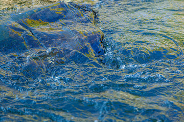 flow of water and spray from a stone
