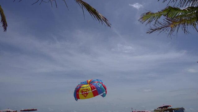wonderful colorful parachute moves under clear blue sky against plam tree blue sky