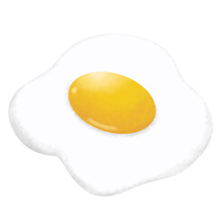 Sunny Side Up Fried Chicken Egg