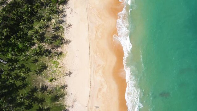 Aerial top view of ocean blue waves break on a beach. Sea waves and beautiful sand beach aerial view drone shot. Copy space , insert text