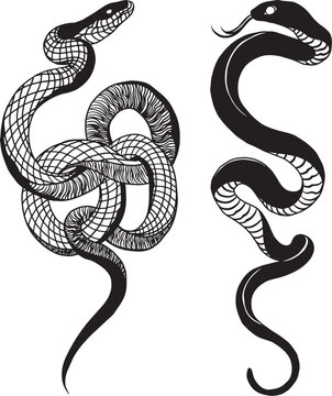 black and white snake tattoo