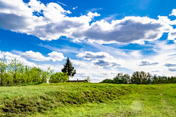 Beautiful horizon scenery in village meadow on color natural background