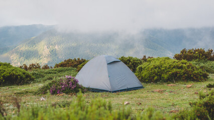 One tent in the wilderness at sunrise with a little fog © Rodrigo