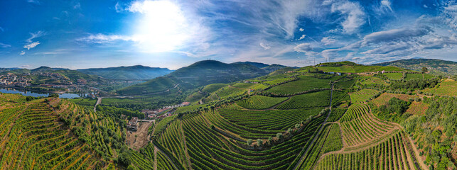 Aerial view of Vineyards on the banks of the Douro river in Portugal near the village of Pinhão -...