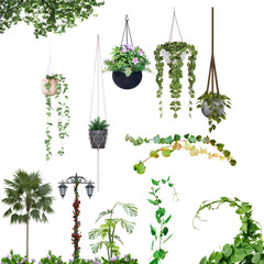 Set of beautiful plants hanging in ceramic pots and different trees isolated on transparent...