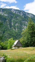 Fototapeta na wymiar Beautiful picture of the Alps mountains with a wooden hut on the grass
