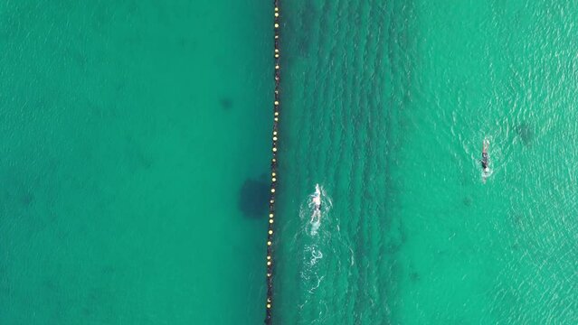 Aerial top down shot of active swimmer in ocean protected by net against sharks in Western Australia - Establishing drone flyover