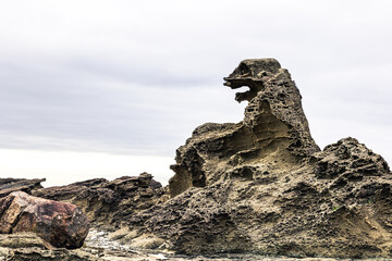 素材　トッテカモ 宇川ゴジラ岩