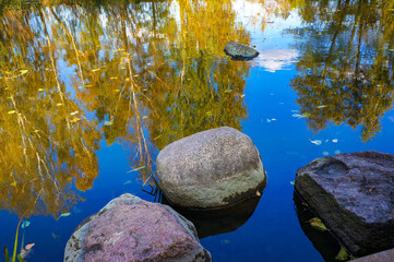 Big Stones in River and Reflections of Yellow Foliage and Blue Sky in Water in Autumn.