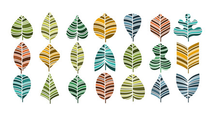Modern colorful line natural leaf illustration design