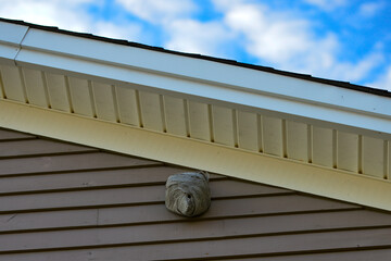A large wasp hornet nest is affixed to an exterior dryer vent cover on the eave of a wooden...