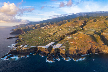 Aerial view of the vineyards of La Palma in the Canary Islands