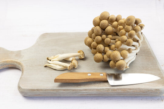 Champignons de h&ecirc;tre brun ou champignons Shimeji isol&eacute;s sur fond blanc