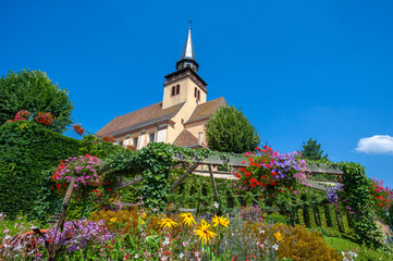 Fototapete bei efototapeten.de bestellen   